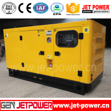 Utilisation à la maison de secours par le générateur diesel chinois de Ricardo 15kw Portable